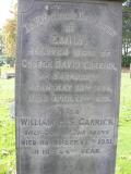 image of grave number 171365